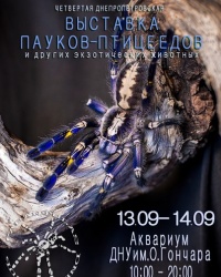 Выставка пауков-птицеедов (Tarantulas Dnepr Club), г. Днепропетровск