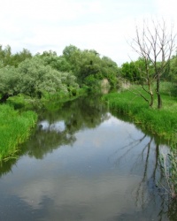 Парк Самойловых в г. Смела