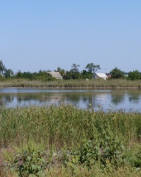 Село Новоселовка (Новомосковский р-н). Тайник