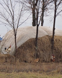 Село Светлогорское (Криничанский р-н). Фото-квест