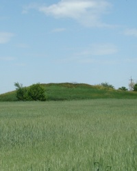 ТП на кургане 130,8м у с.Крутое (Солонянский р-н)