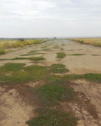 Заброшенный аэродром в окрестностях пос. Старобешево