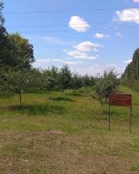 Сад Великой Победы и Памяти в п.2-го участка института им. Докучаева