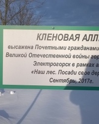 Аллея почётных жителей в г.Электрогорск