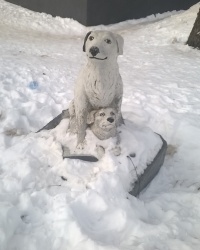 Памятник собачкам в г.Электрогорск