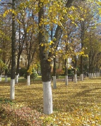 Сквер Платонова в г.Воронеж (Ленинский район)