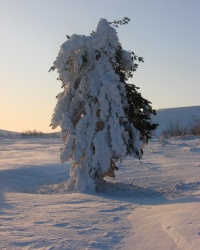 Демерджи, Плато