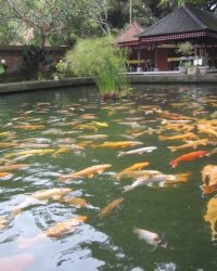 Храм "живой" и "мертвой" воды Tirtha Empul Temple