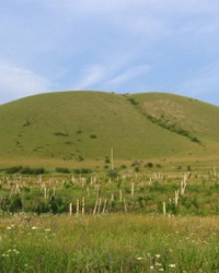 Мадам Бродская. Ларец