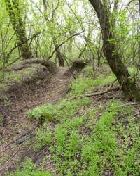 Попов мыс. Курган с кромлехом